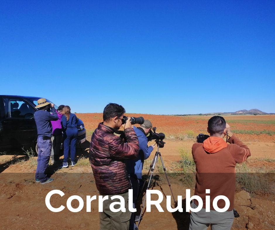 Botón Ruta ornitológica Corral Rubio